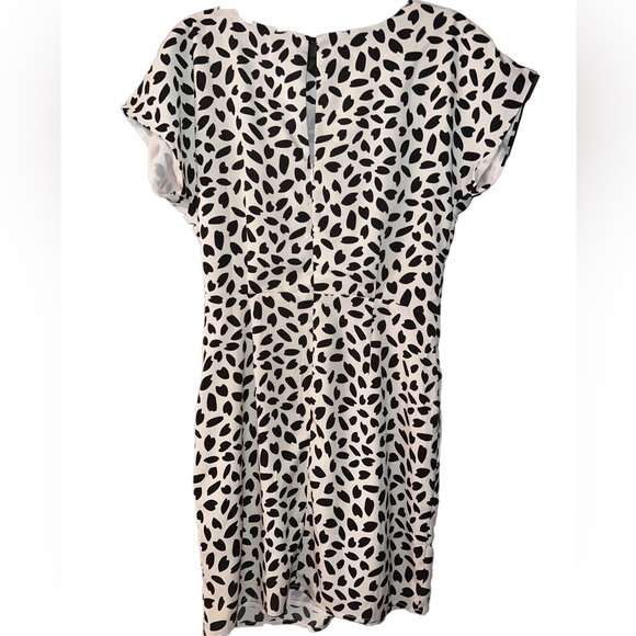 Vici‎ Short Black Spots Dress - Picture 4 of 8